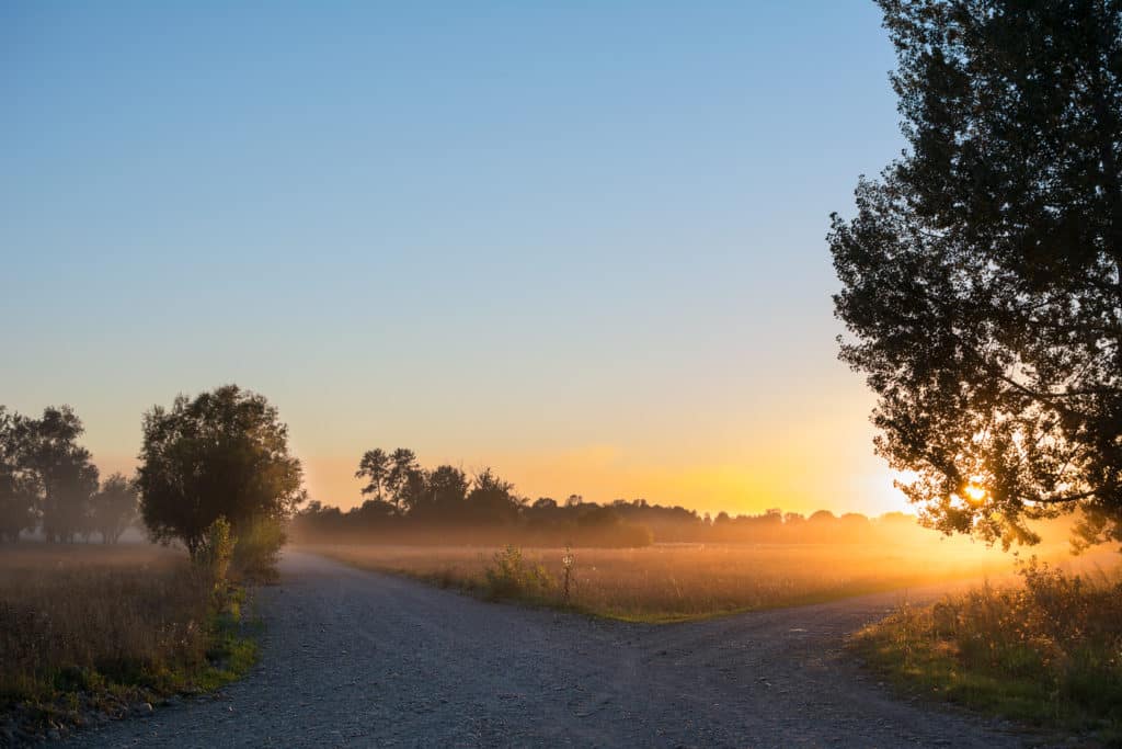 istock 104518999 xxlarge