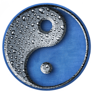yin-yang
